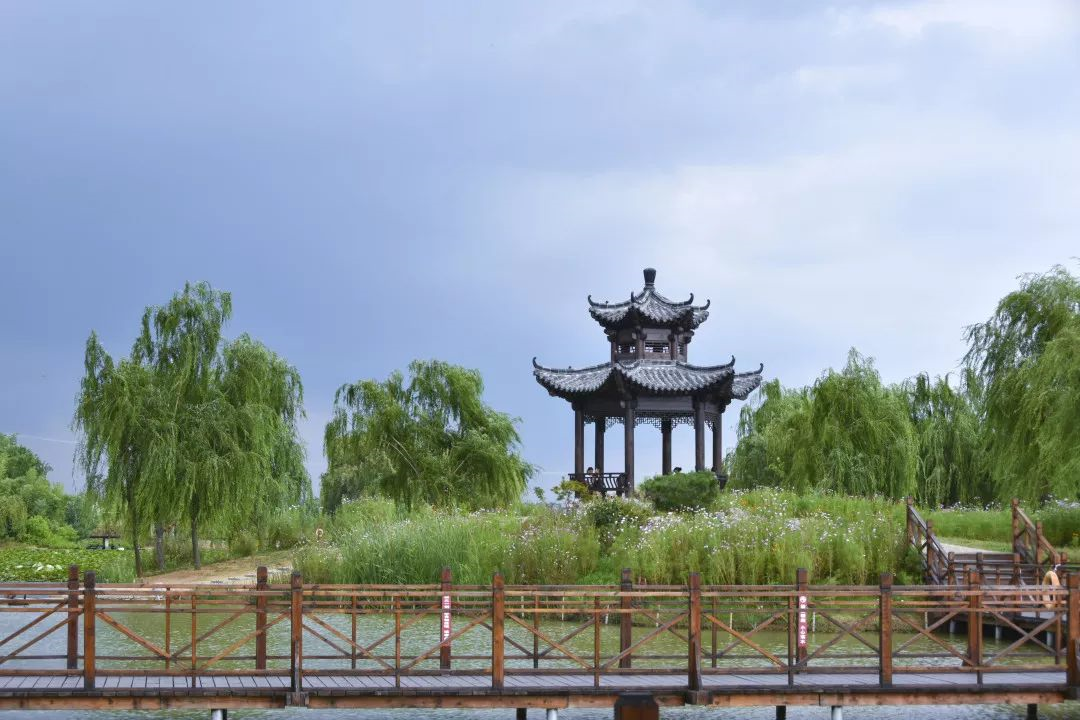 旅游 文学的一场永遇乐：在台儿庄双龙湖湿地邂逅最美的景色